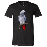 Beautiful African Grey Parrot V-Neck T-Shirt