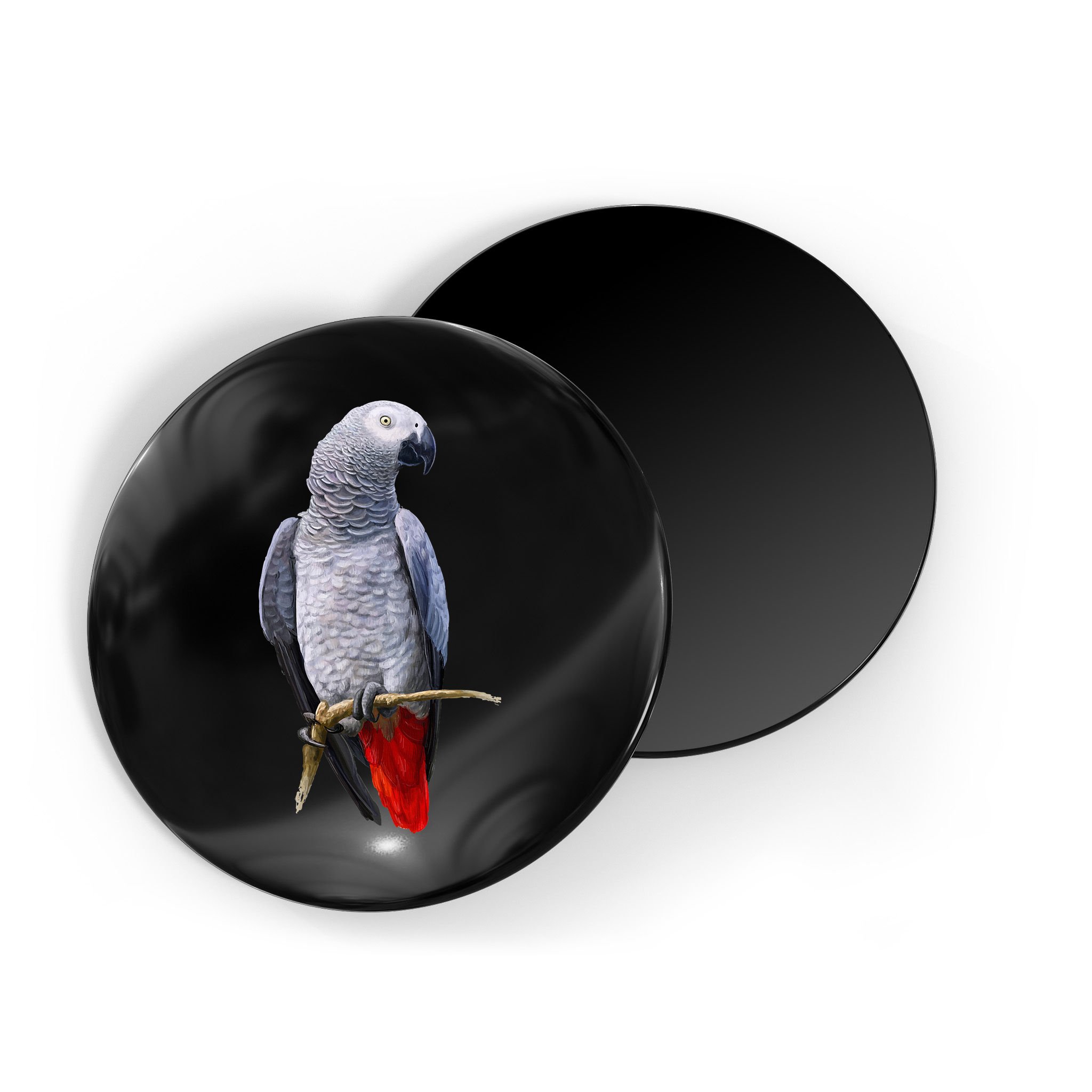 Beautiful African Grey Parrot Magnet