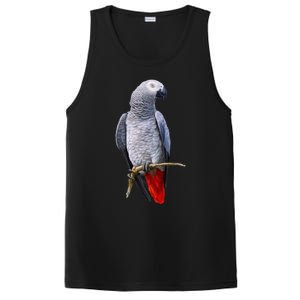 Beautiful African Grey Parrot PosiCharge Competitor Tank