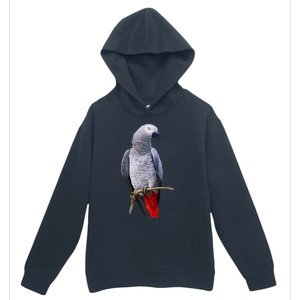 Beautiful African Grey Parrot Urban Pullover Hoodie