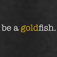 Be A Goldfish Goldfish Funny Quotes Adult Drive Performance Visor