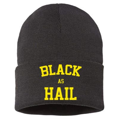 Black As Hail Michigan Sustainable Knit Beanie