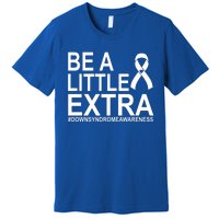 Be A Little Extra Down Syndrome Awareness Premium T-Shirt