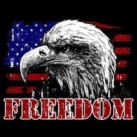 Bald Eagle Distressed USA Flag Freedom 4th of July Performance Shirt