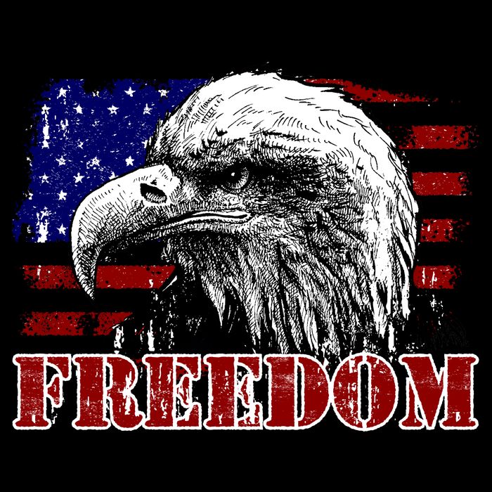 Bald Eagle Distressed USA Flag Freedom 4th of July Performance Shirt