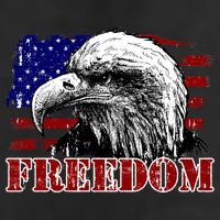 Bald Eagle Distressed USA Flag Freedom 4th of July Beanie