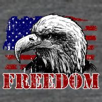 Bald Eagle Distressed USA Flag Freedom 4th of July Flatbill Hat