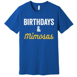 Birthdays And Mimosas Mimosa Lover Day Er Happy Birthday Gift Premium T-Shirt