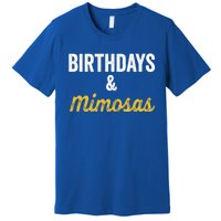 Birthdays And Mimosas Mimosa Lover Day Er Happy Birthday Gift Premium T-Shirt