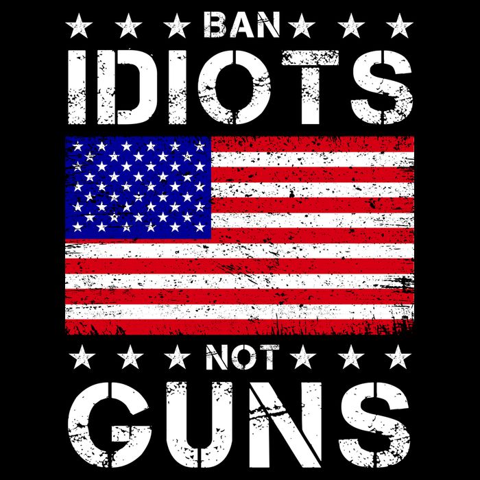 Ban Idiots Not Guns Wool Snapback Cap