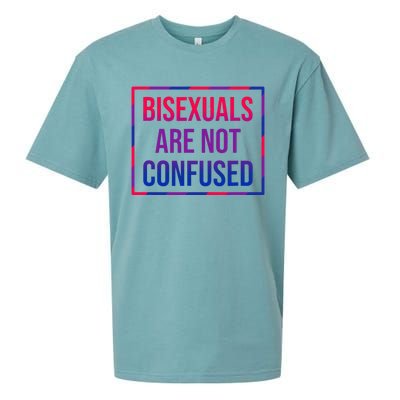 Bisexuals Are Not Confused Bi Pride Month LGBTQ Bisexuality Sueded Cloud Jersey T-Shirt