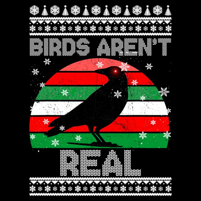 Bird Are Not Real Conspiracy Ugly Christmas Sweater T-Shirt