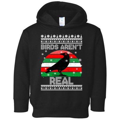 Bird Are Not Real Conspiracy Ugly Christmas Sweater Toddler Hoodie