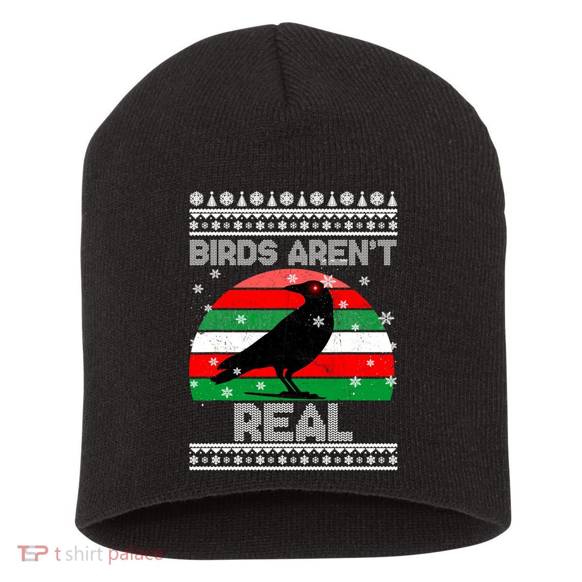 Bird Are Not Real Conspiracy Ugly Christmas Sweater Short Acrylic Beanie