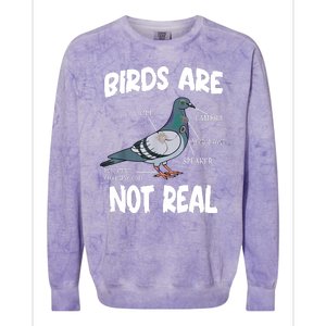 Birds Are Not Real Diagram Colorblast Crewneck Sweatshirt