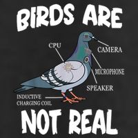 Birds Are Not Real Diagram 7 Panel Mesh Trucker Snapback Hat