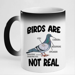 Birds Are Not Real Diagram 11oz Black Color Changing Mug