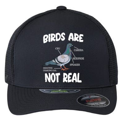 Birds Are Not Real Diagram Flexfit Unipanel Trucker Cap