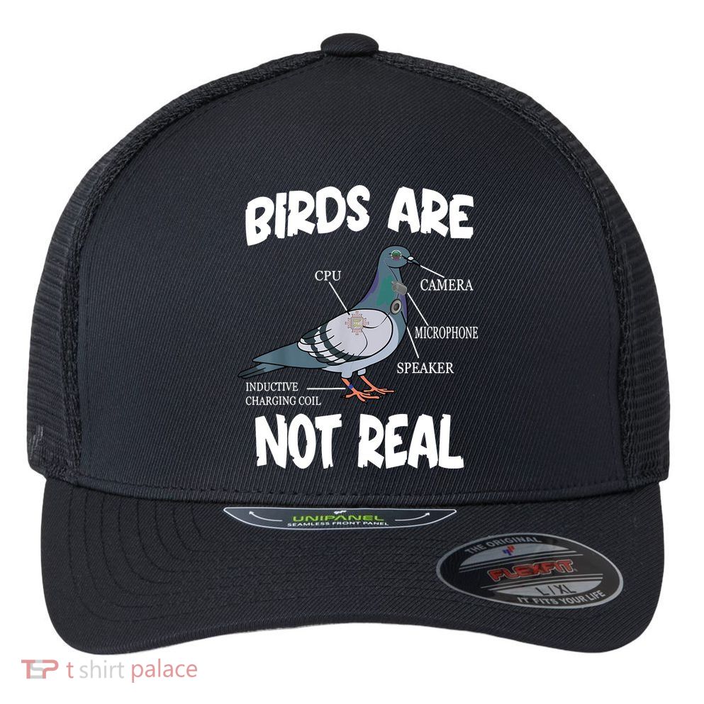 Birds Are Not Real Diagram Flexfit Unipanel Trucker Cap
