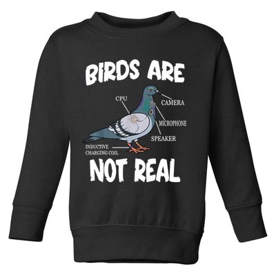 Birds Are Not Real Diagram Toddler Sweatshirt