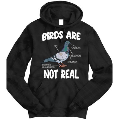 Birds Are Not Real Diagram Tie Dye Hoodie