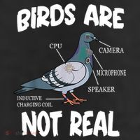 Birds Are Not Real Diagram Trucker Hat