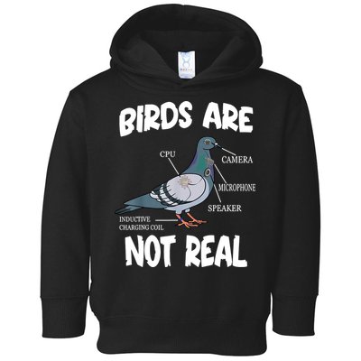 Birds Are Not Real Diagram Toddler Hoodie