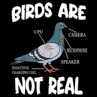 Birds Are Not Real Diagram Tall Hoodie