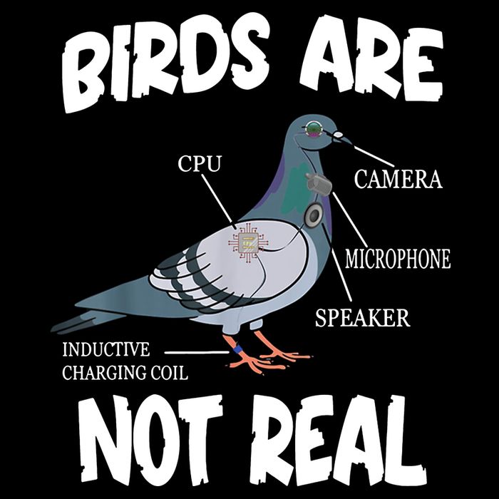 Birds Are Not Real Diagram Tall Hoodie
