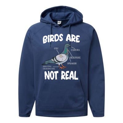 Birds Are Not Real Diagram Performance Fleece Hoodie