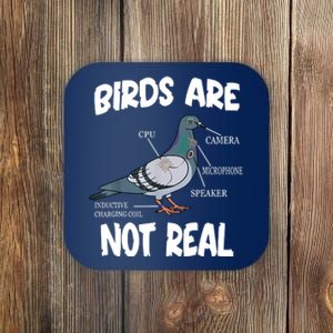 Birds Are Not Real Diagram Coaster