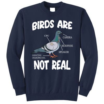 Birds Are Not Real Diagram Tall Sweatshirt