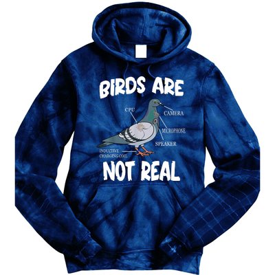 Birds Are Not Real Diagram Tie Dye Hoodie