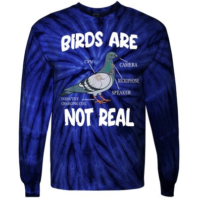 Birds Are Not Real Diagram Tie-Dye Long Sleeve Shirt