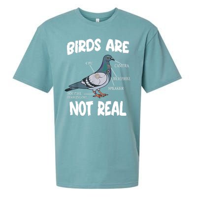 Birds Are Not Real Diagram Sueded Cloud Jersey T-Shirt