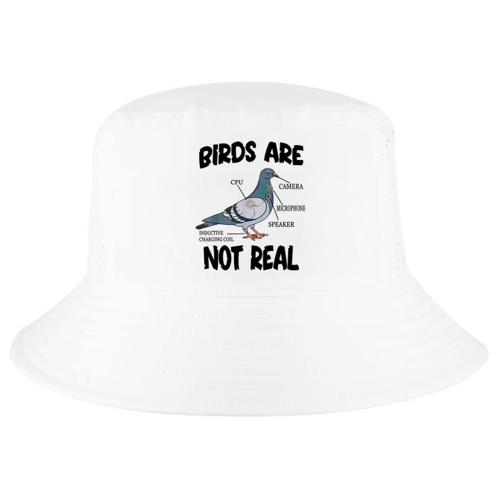 Birds Are Not Real Diagram Cool Comfort Performance Bucket Hat