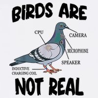 Birds Are Not Real Diagram Cool Comfort Performance Bucket Hat