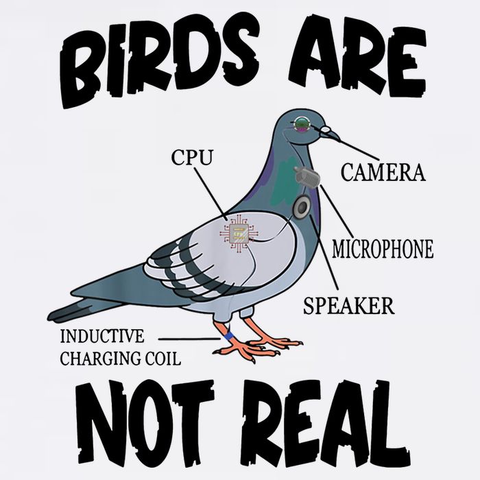 Birds Are Not Real Diagram Cool Comfort Performance Bucket Hat