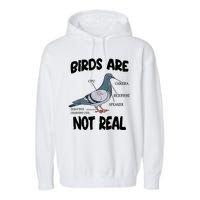 Birds Are Not Real Diagram Garment-Dyed Fleece Hoodie