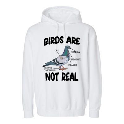 Birds Are Not Real Diagram Garment-Dyed Fleece Hoodie