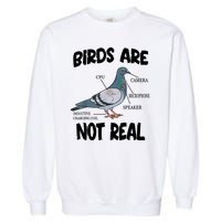 Birds Are Not Real Diagram Garment-Dyed Sweatshirt