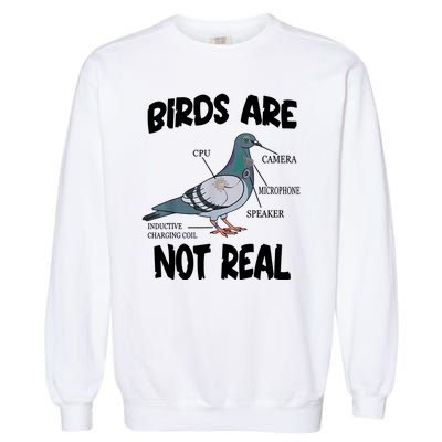 Birds Are Not Real Diagram Garment-Dyed Sweatshirt