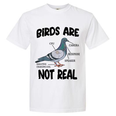 Birds Are Not Real Diagram Garment-Dyed Heavyweight T-Shirt