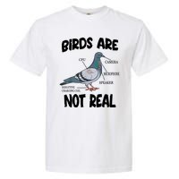 Birds Are Not Real Diagram Garment-Dyed Heavyweight T-Shirt