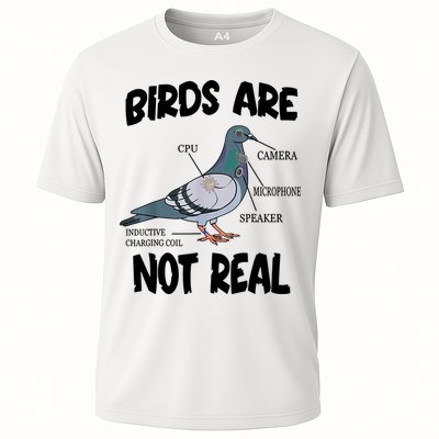 Birds Are Not Real Diagram Performance Shirt