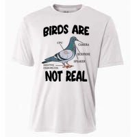 Birds Are Not Real Diagram Cooling Performance Crew T-Shirt