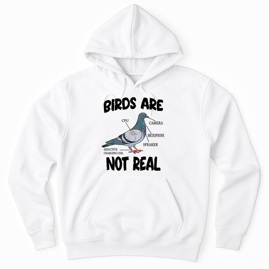 Birds Are Not Real Diagram Hoodie