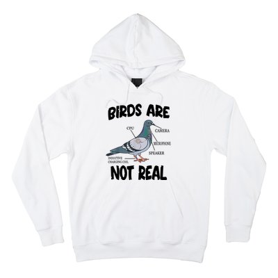 Birds Are Not Real Diagram Hoodie