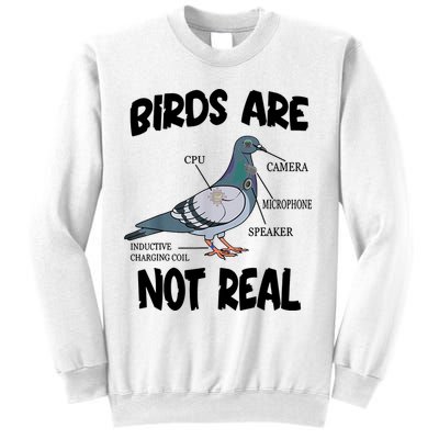 Birds Are Not Real Diagram Sweatshirt