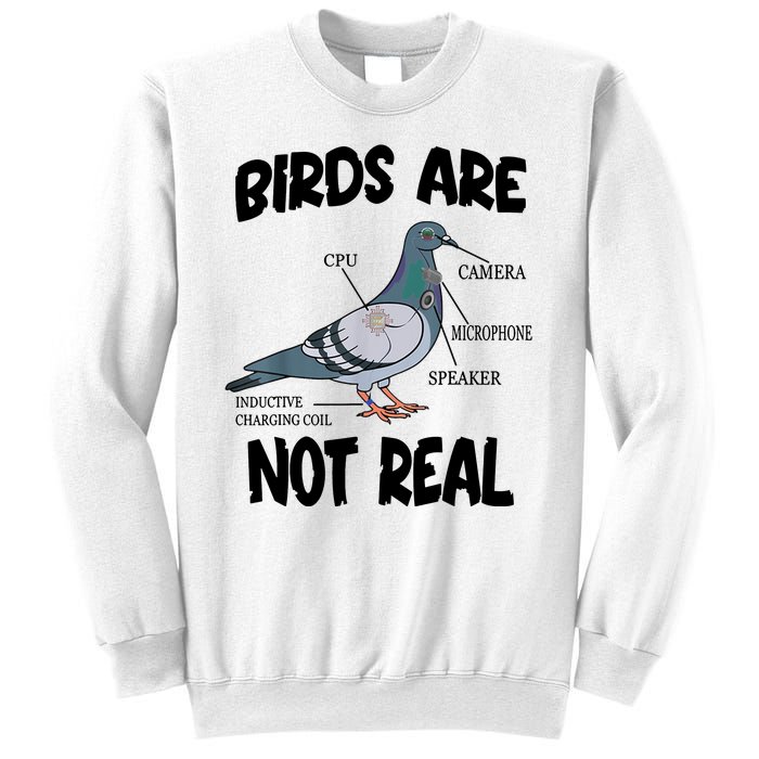 Birds Are Not Real Diagram Sweatshirt